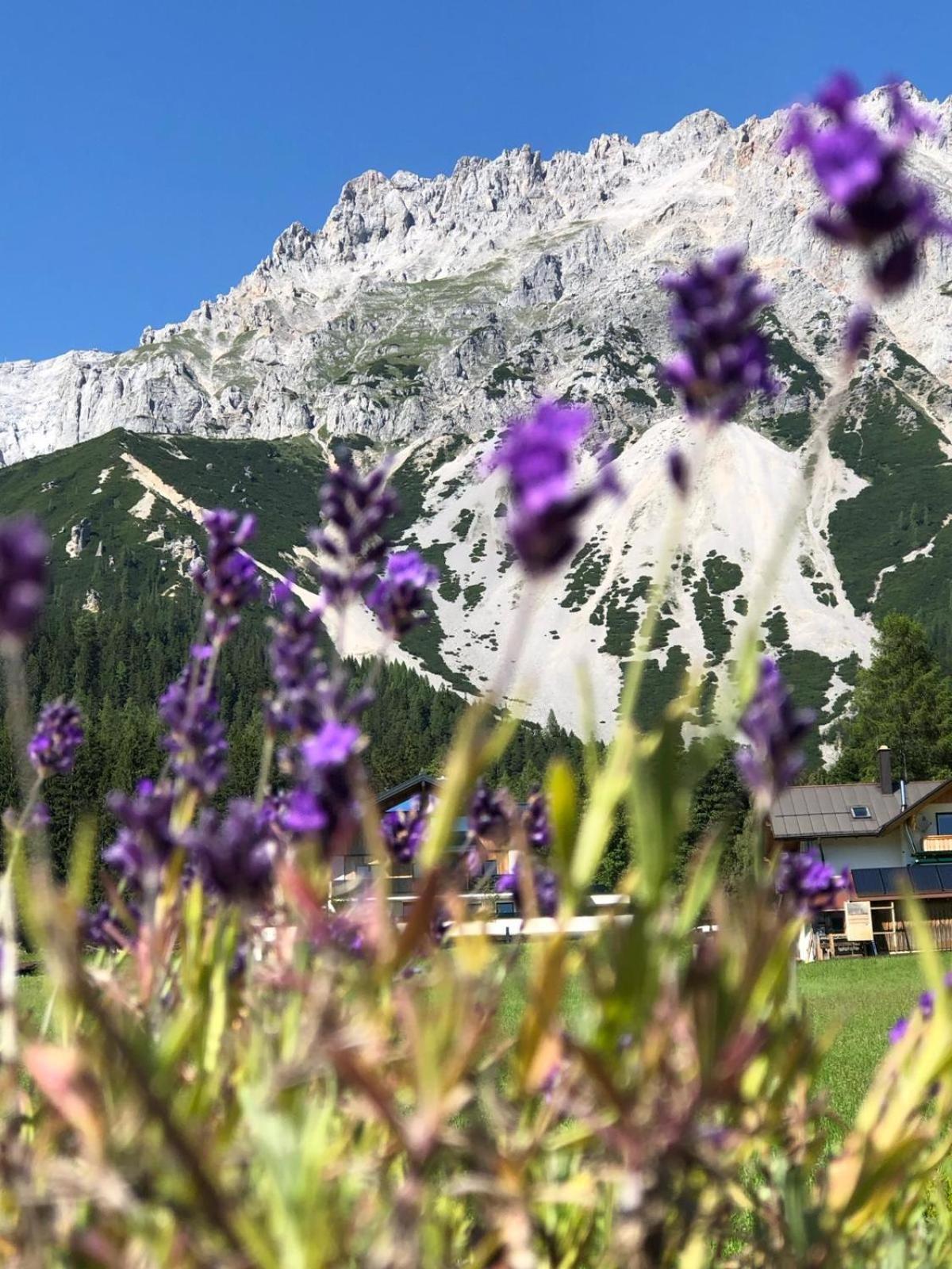 Club Villa Ramsau am Dachstein Kültér fotó